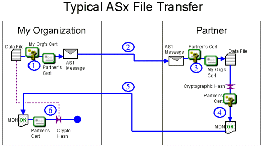 asx5.gif (20640 bytes)