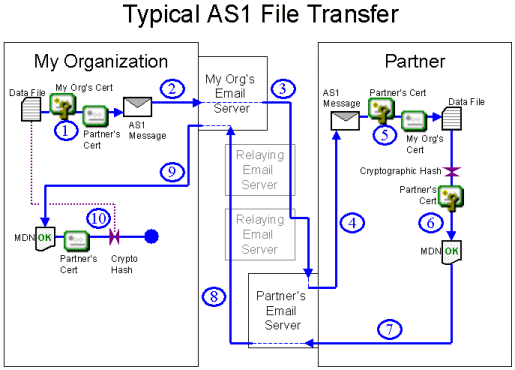 asx6.gif (27641 bytes)