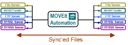 file synchronization network