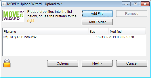 Embedded OLE File Template, D75, H100