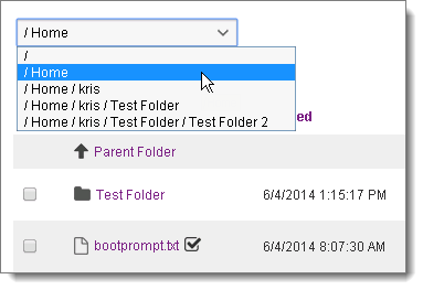 Embedded OLE File Template, D75, H100