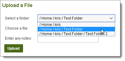 Embedded OLE File Template, D75, H100