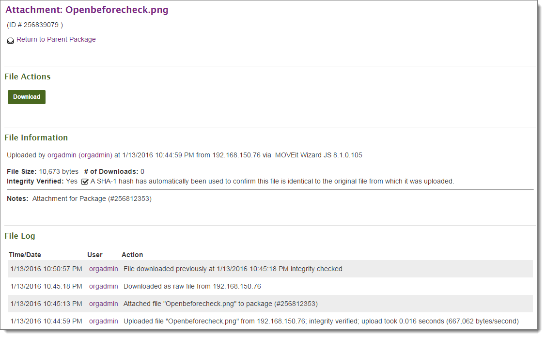 Embedded OLE File Template, D75, H100