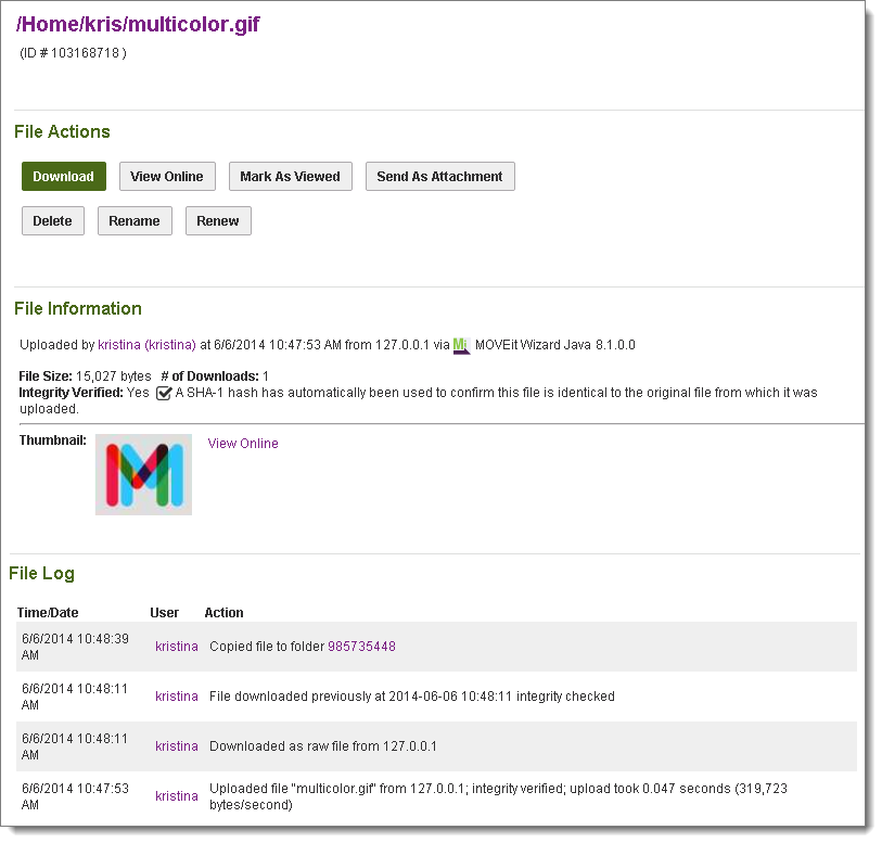 Embedded OLE File Template, D75, H100