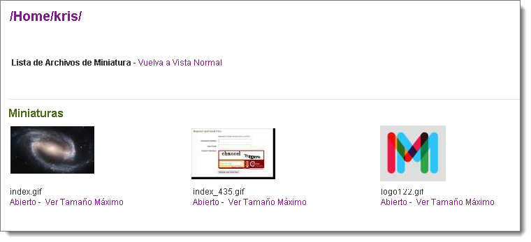 Embedded OLE File Template, D75, H100