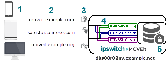 multi_homing