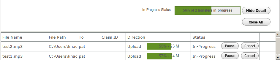 UploadFiles_TransferDetails