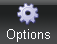 Reports Options button